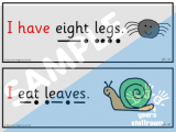 Minibeast Phonics Resource