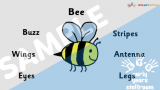 Minibeast Adjectives