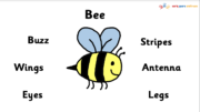 Early Years Resources