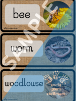 Early Years Resources
