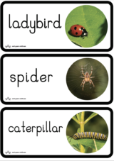 Early Years Resources