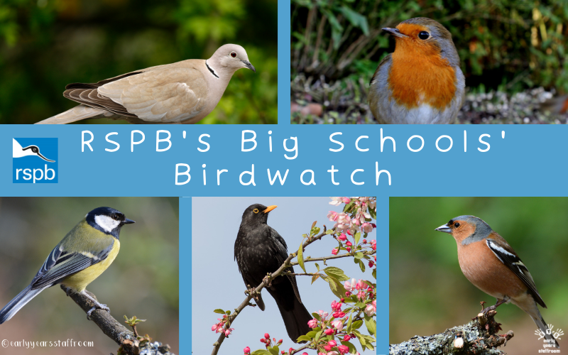 The Royal Society for the Protection of Birds (RSPB)