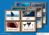 Early Years Resources