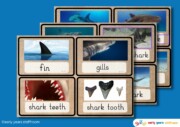 Early Years Resources