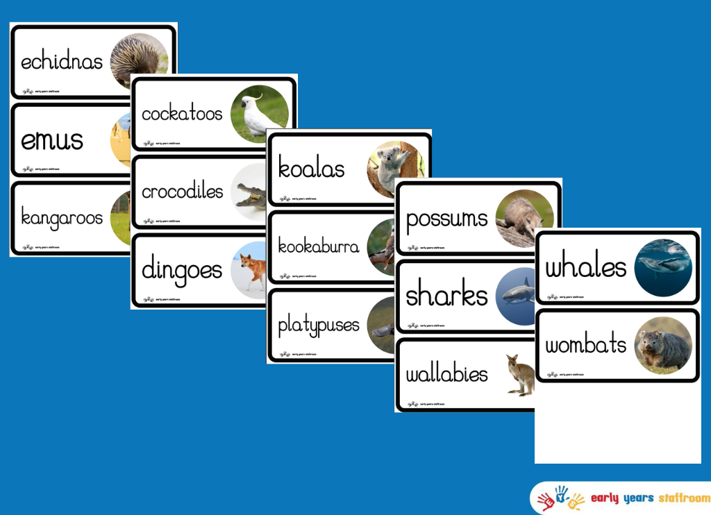 Animals of Australia Word Cards (White Background)