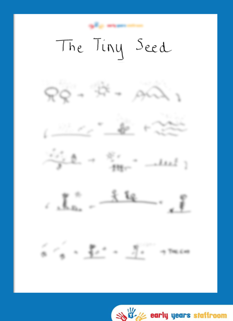 The Tiny Seed Hand Drawn Story Map