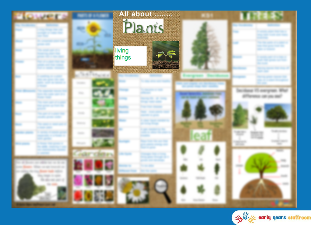 Knowledge Planner Plants KS1