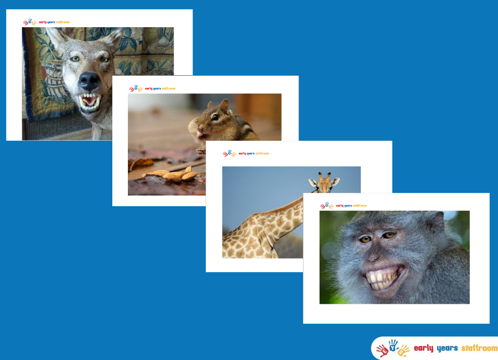 Animal Images