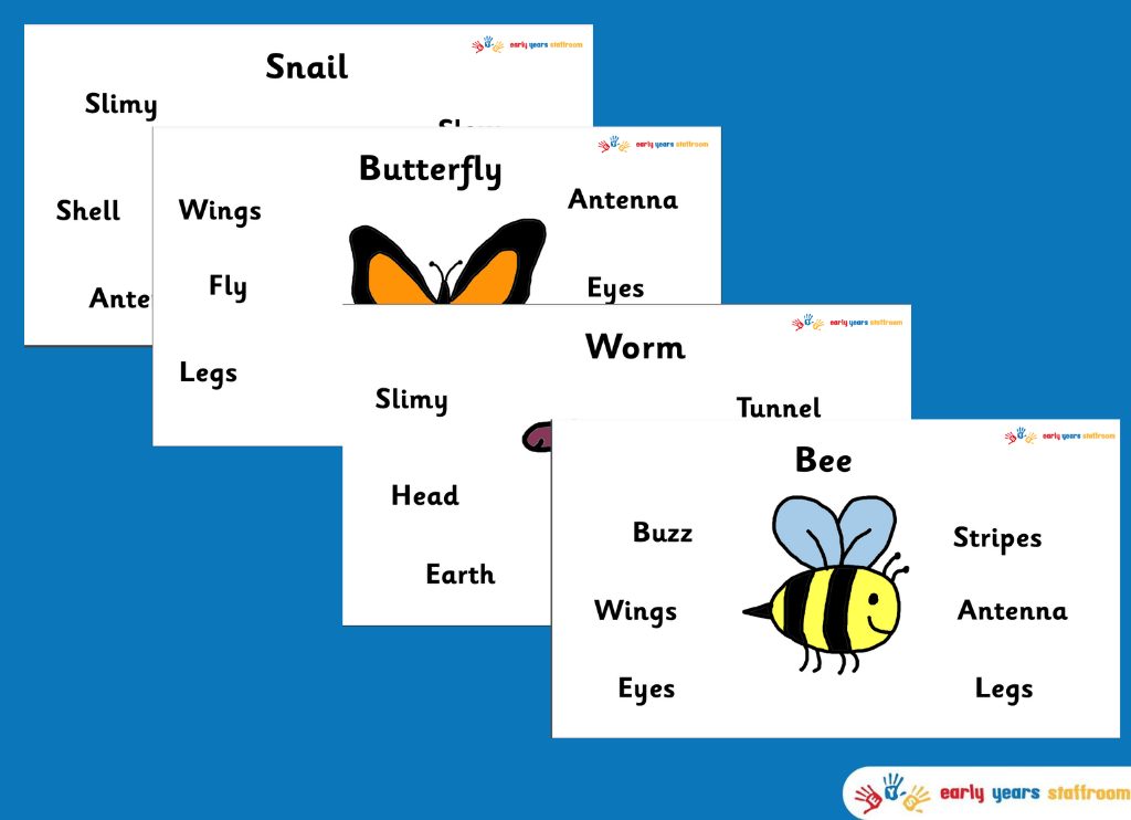 Insect Minibeast Word Cards