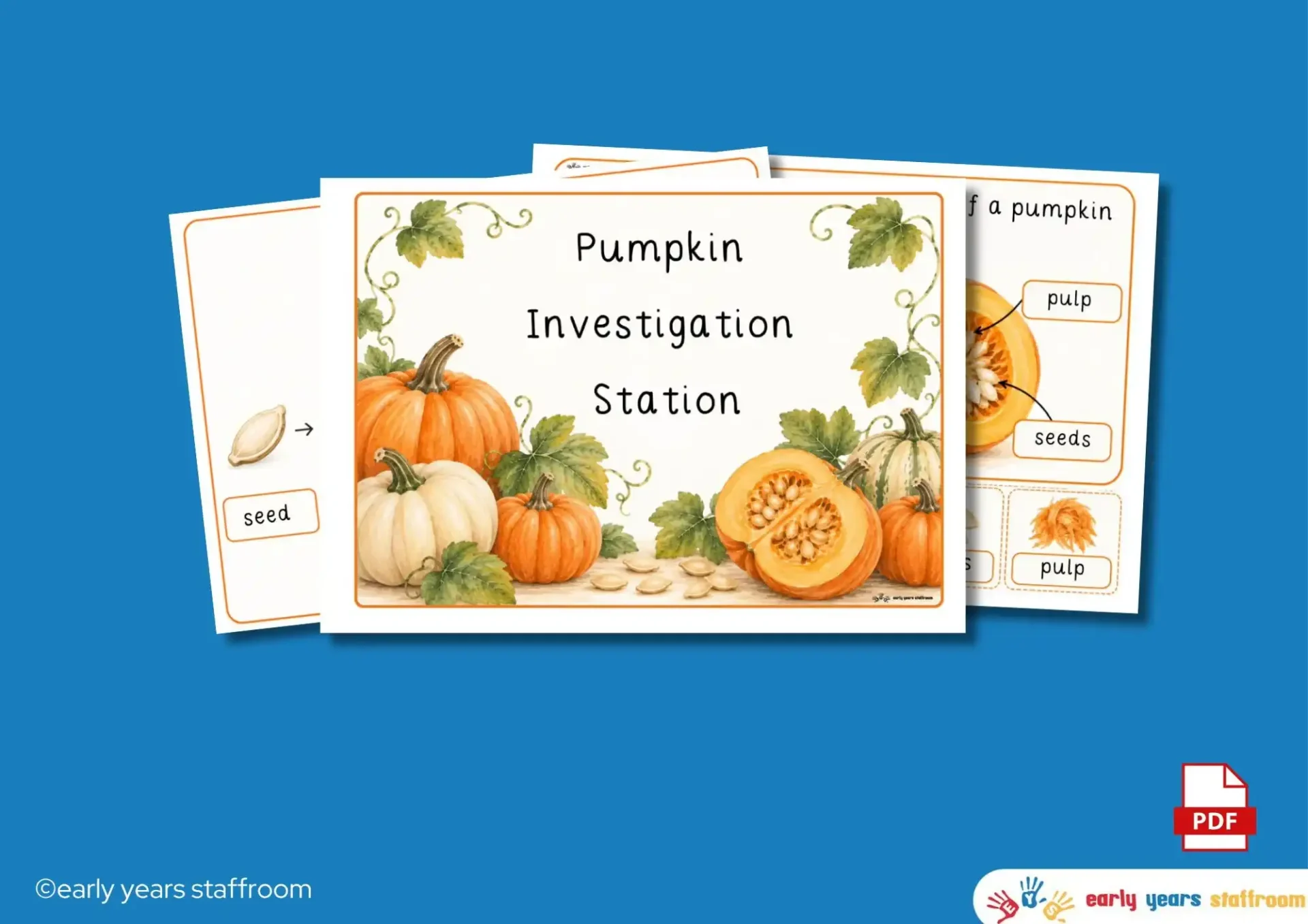 Early Years pumpkin investigation activity with real pumpkins and sheets for recording observations.
